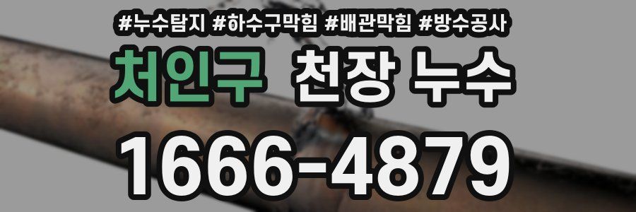 처인구 천장 누수