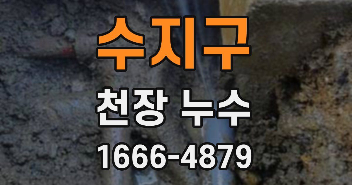 수지구 천장 누수