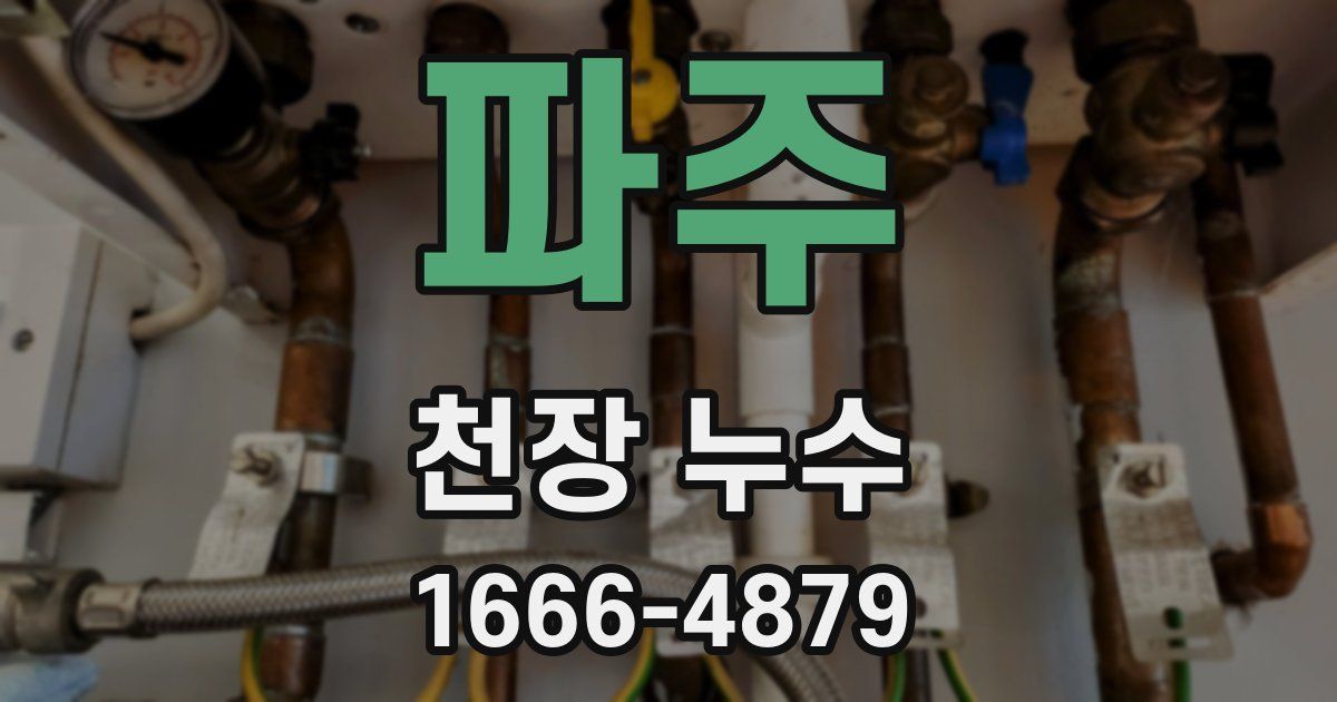 파주 천장 누수