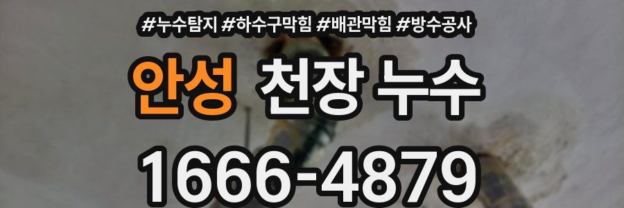 안성 천장 누수