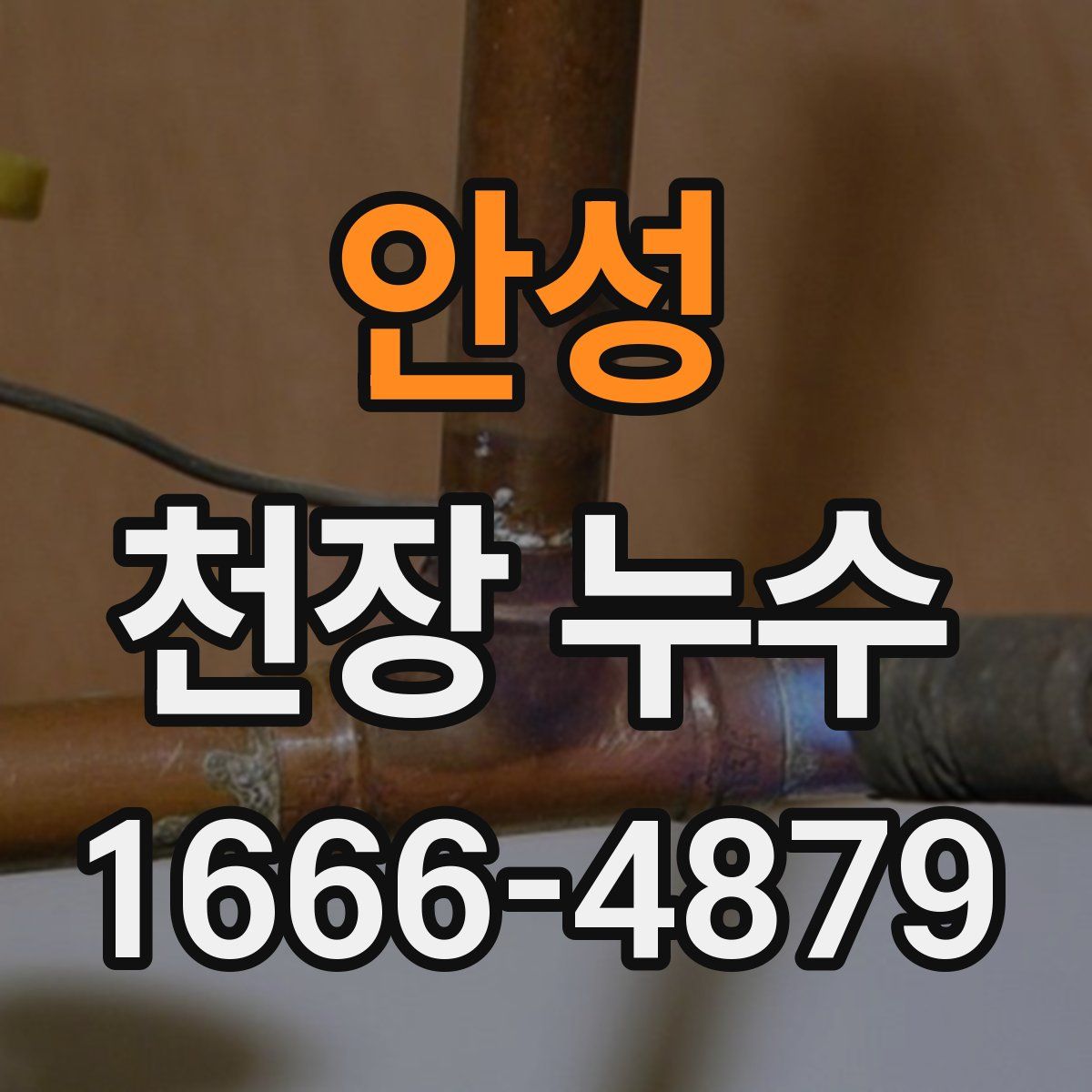 안성 천장 누수