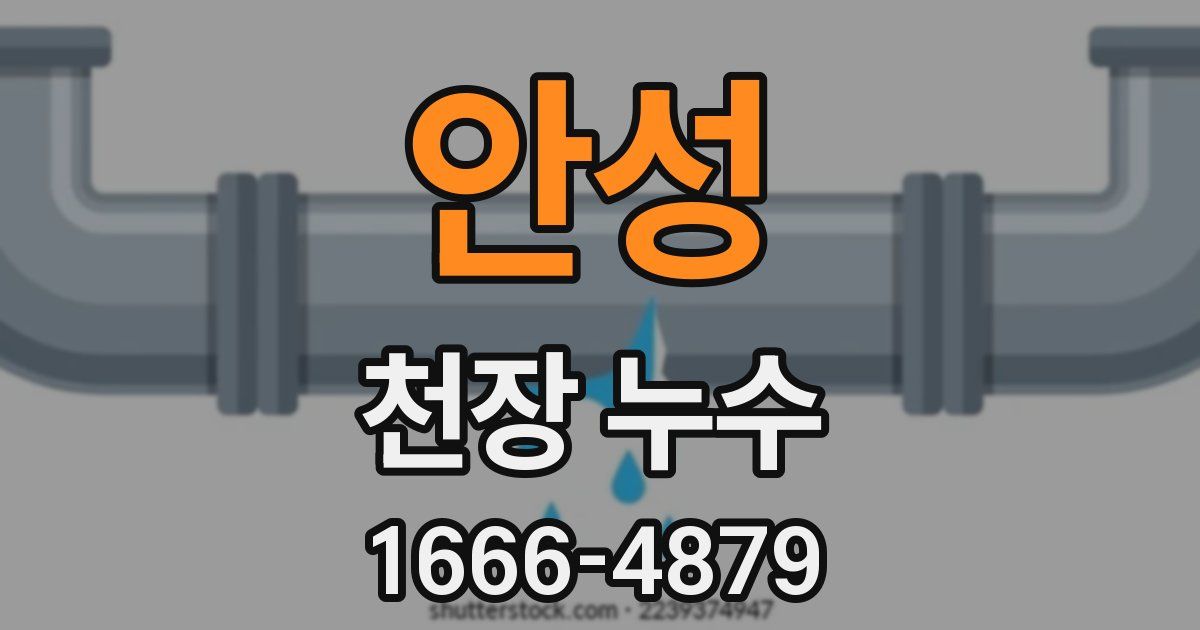 안성 천장 누수