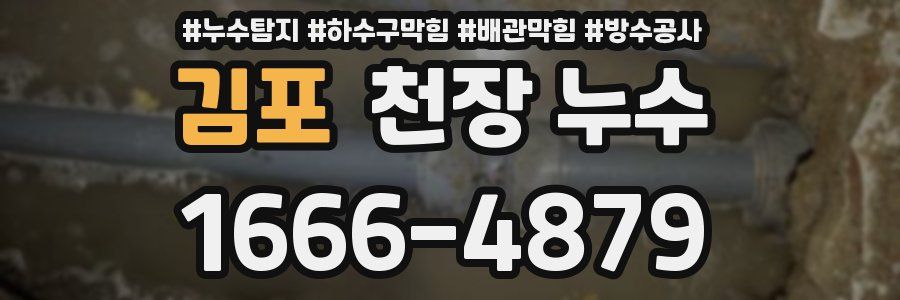 김포 천장 누수