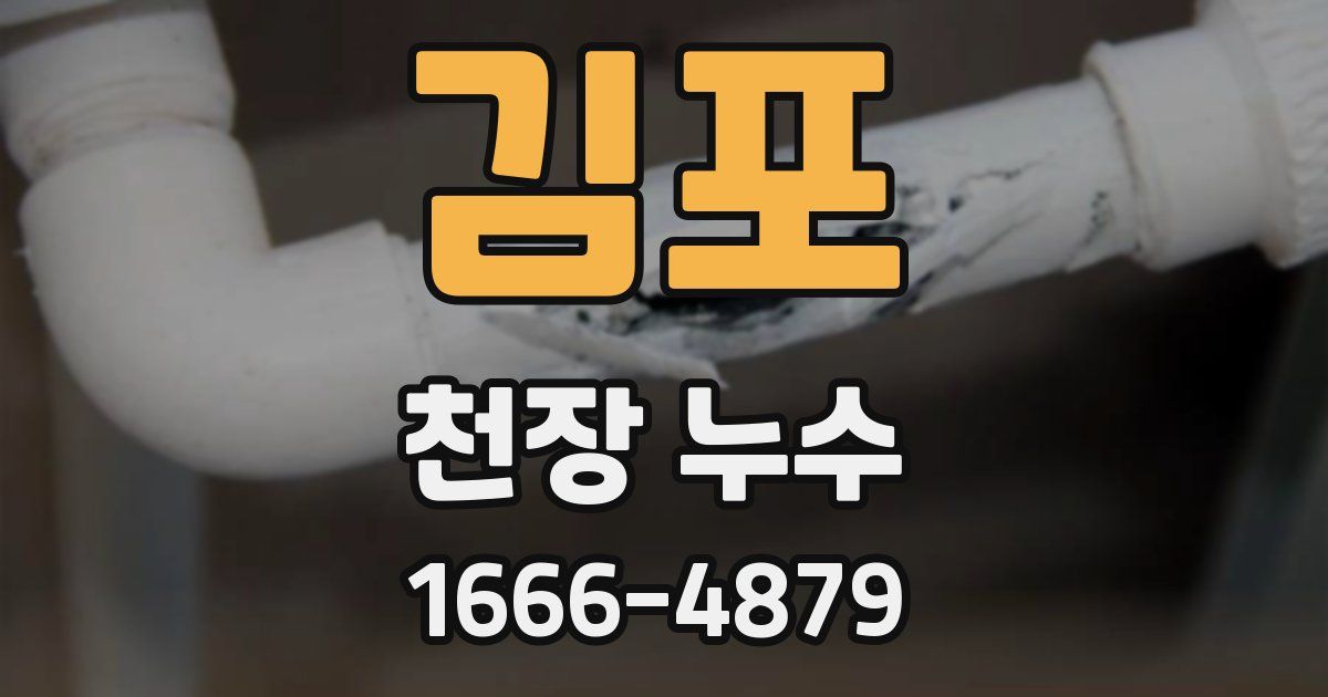 김포 천장 누수