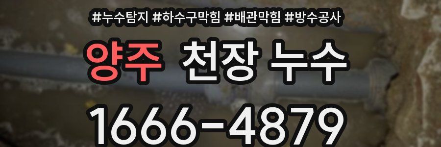 양주 천장 누수