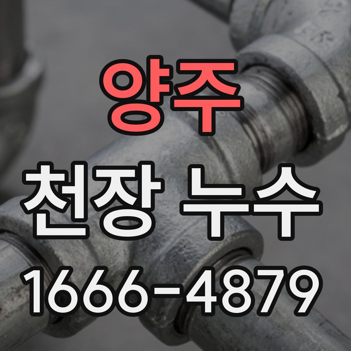 양주 천장 누수