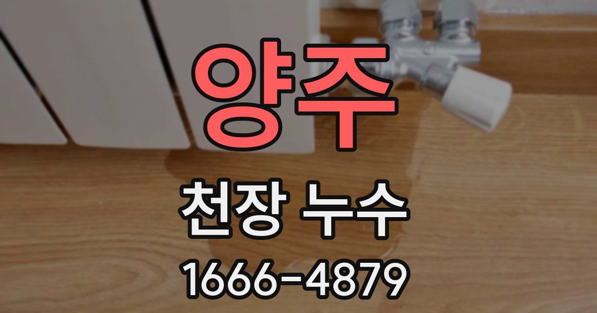 양주 천장 누수