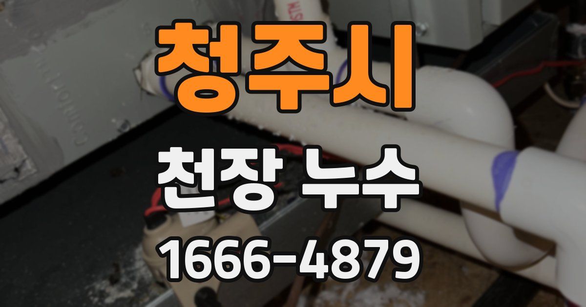 청주시 천장 누수