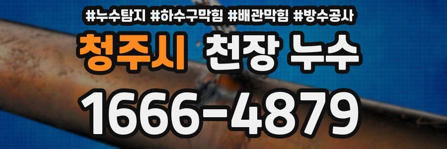 청주시 천장 누수