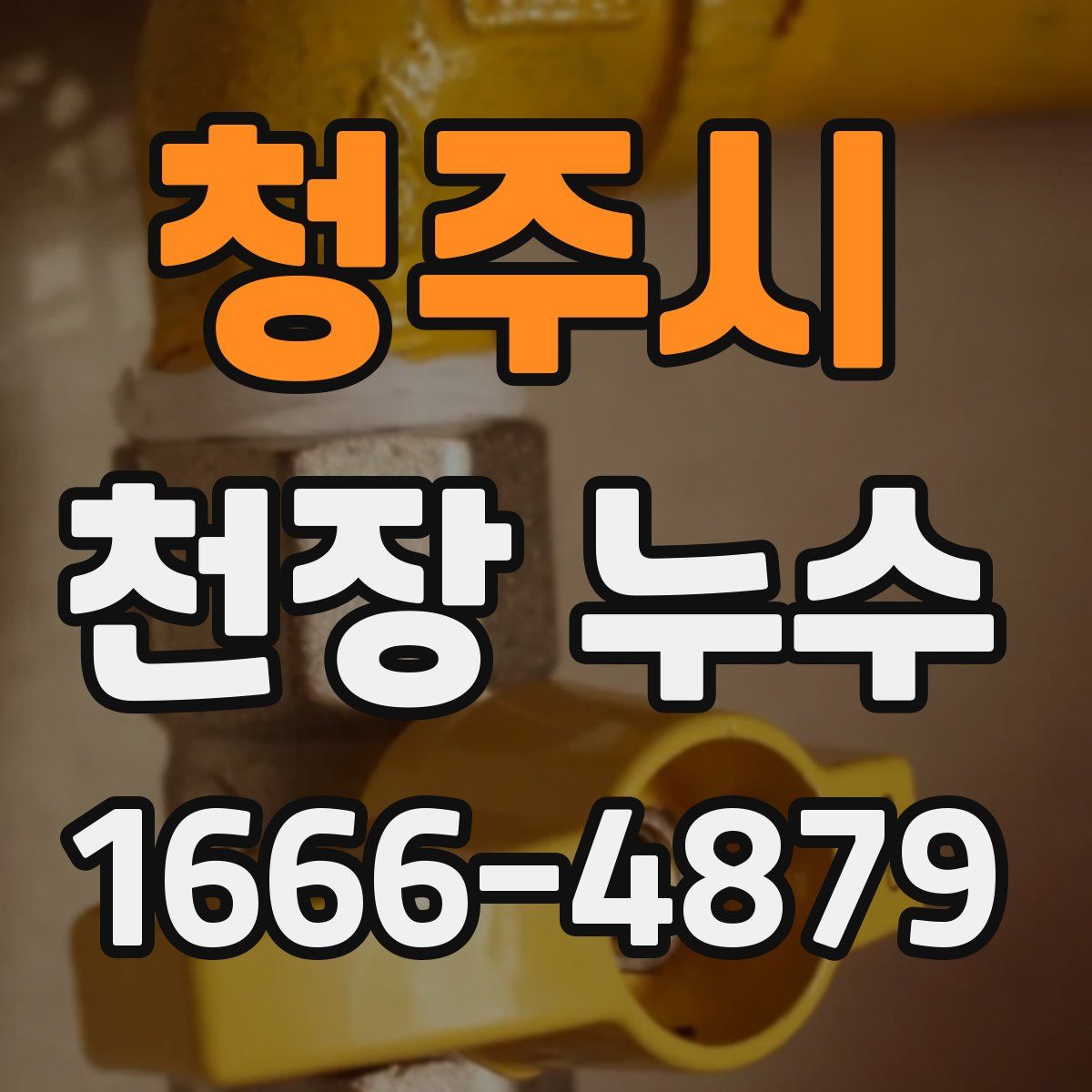 청주시 천장 누수