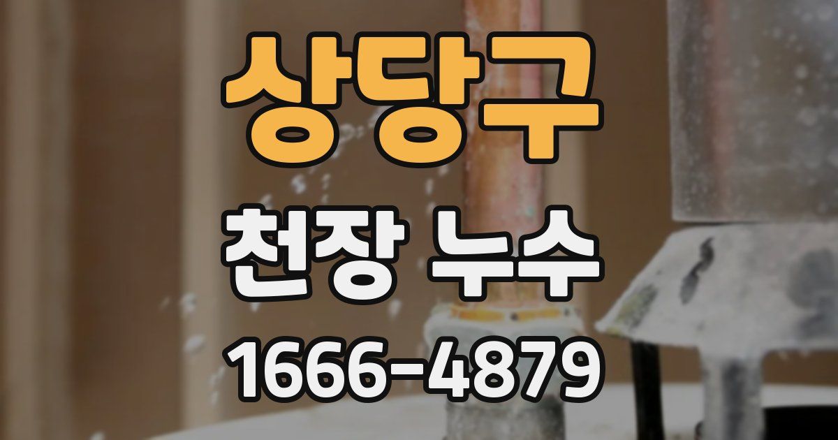 상당구 천장 누수
