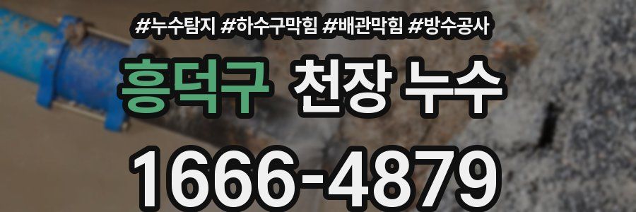 흥덕구 천장 누수