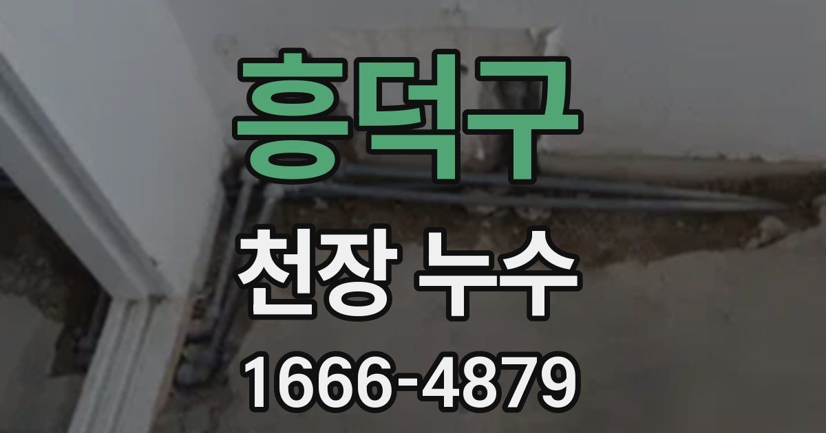 흥덕구 천장 누수