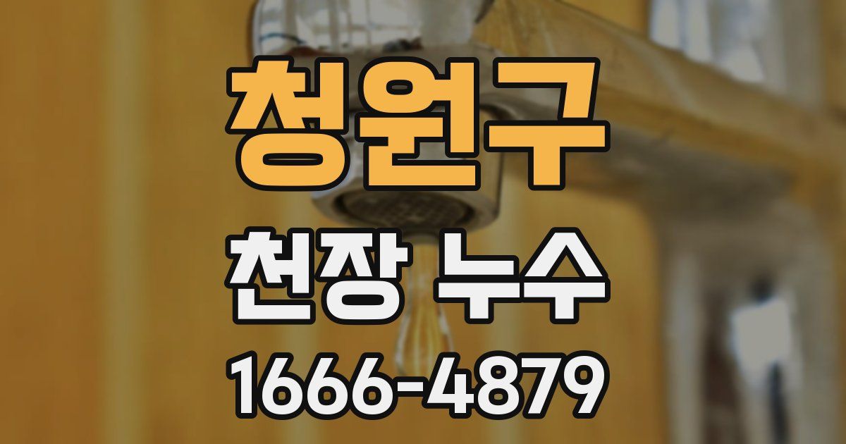 청원구 천장 누수