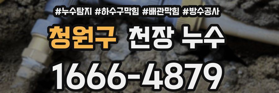 청원구 천장 누수