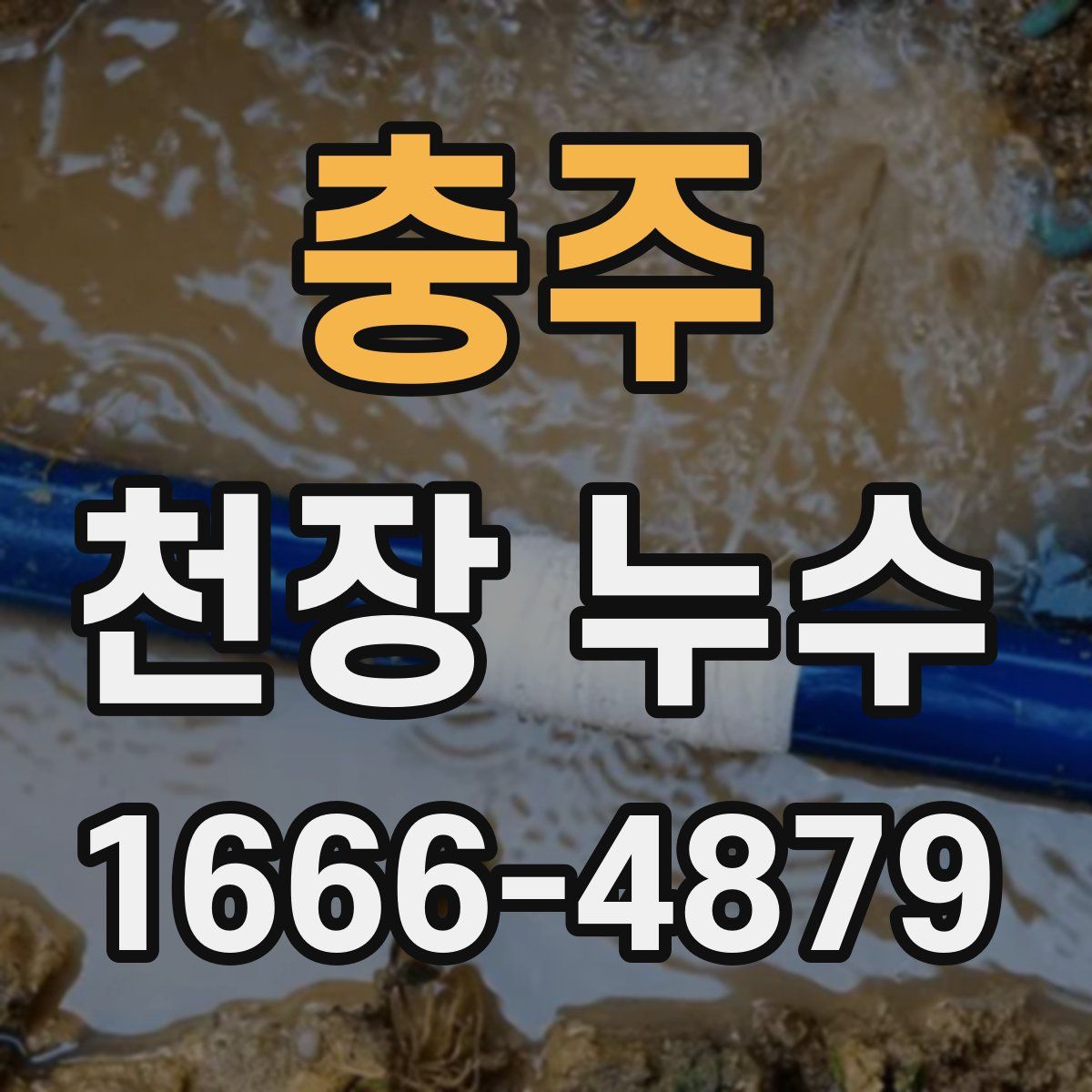 충주 천장 누수