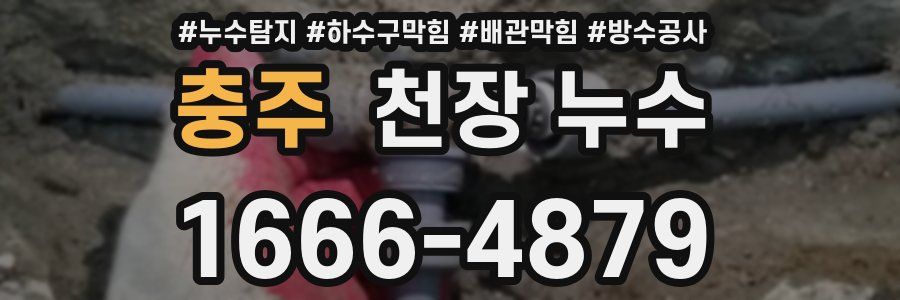 충주 천장 누수