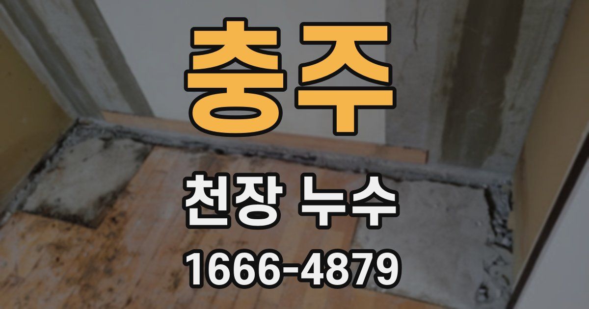 충주 천장 누수