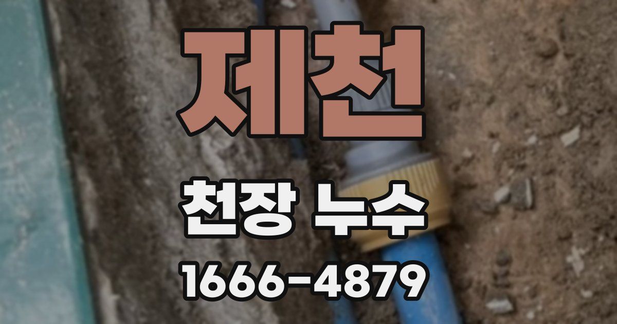 제천 천장 누수