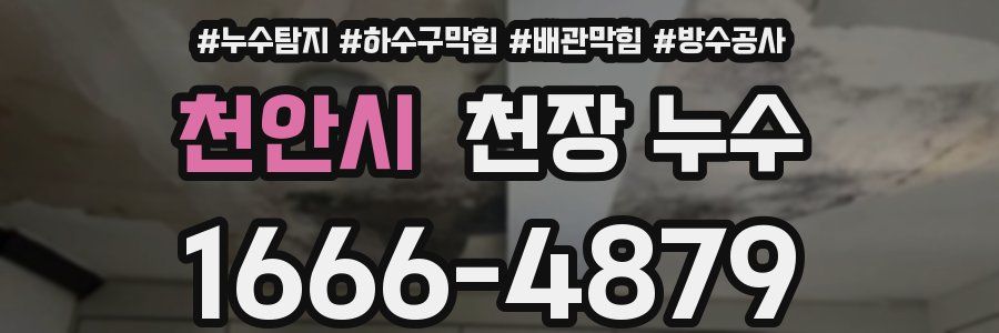 천안시 천장 누수