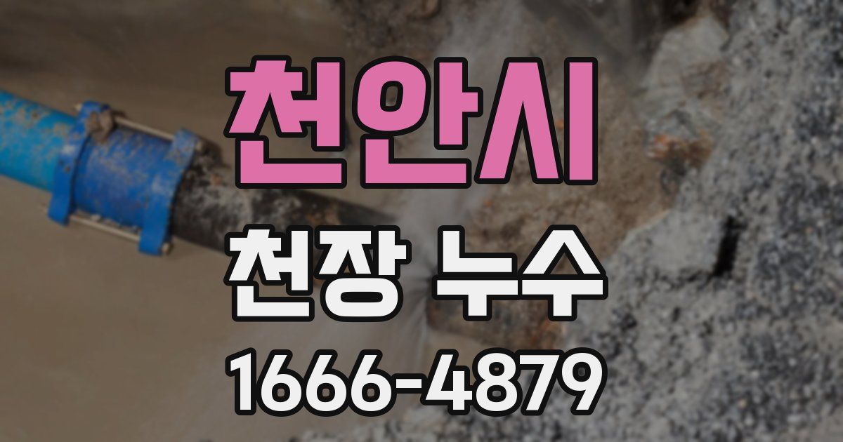 천안시 천장 누수