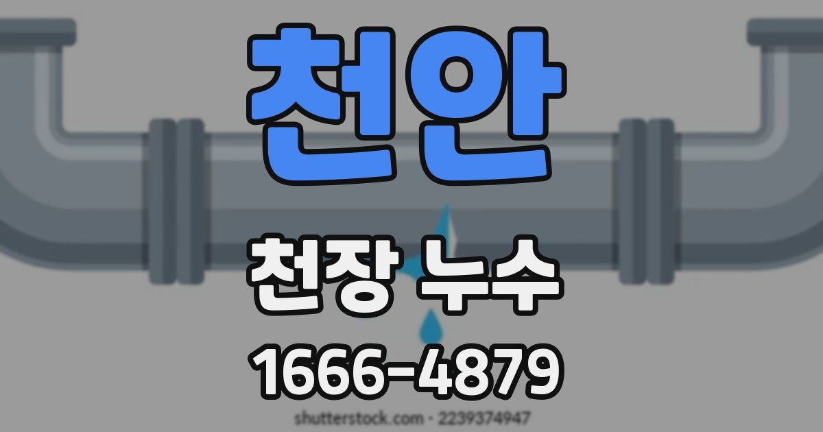 천안 천장 누수