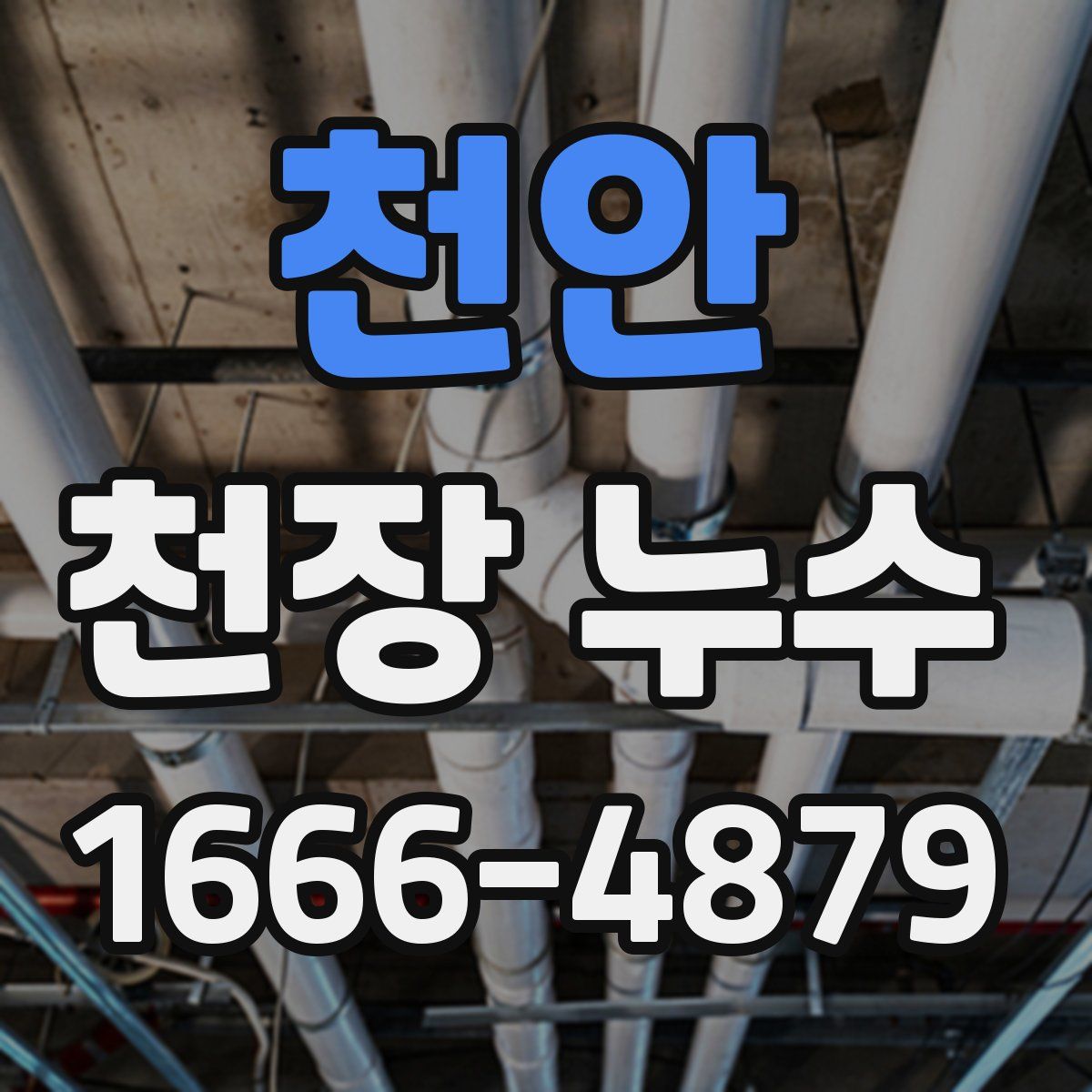 천안 천장 누수