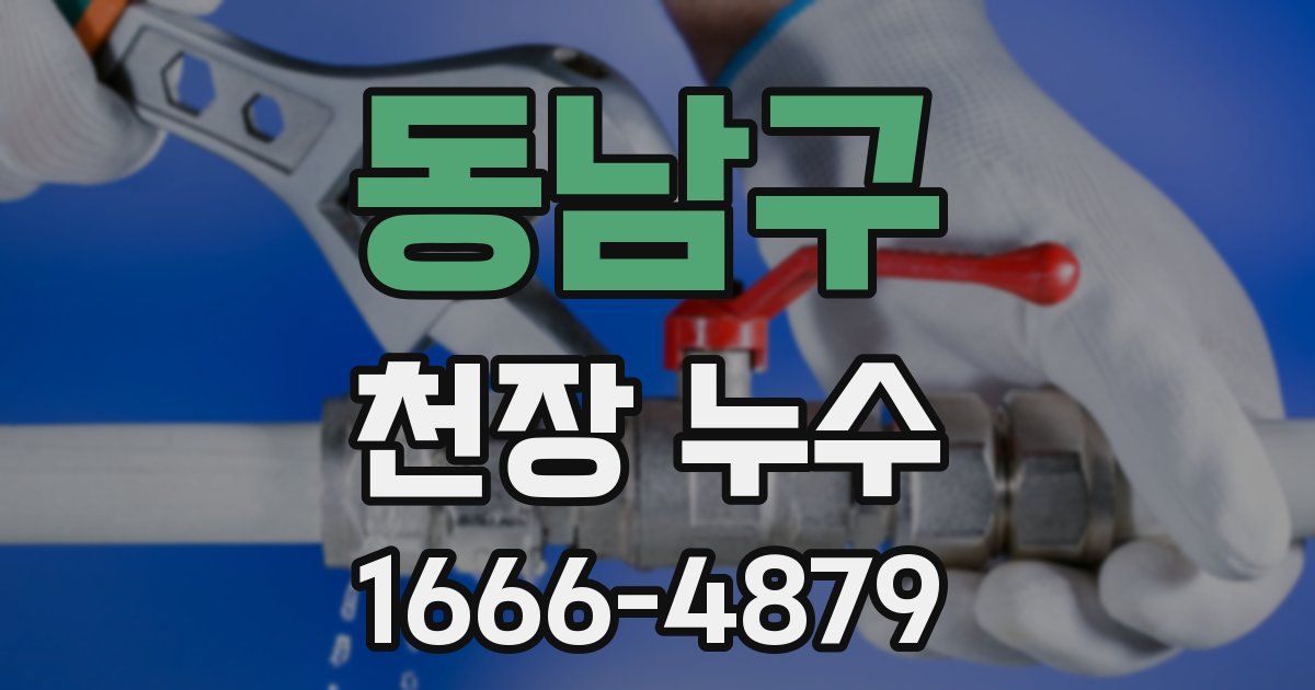 동남구 천장 누수