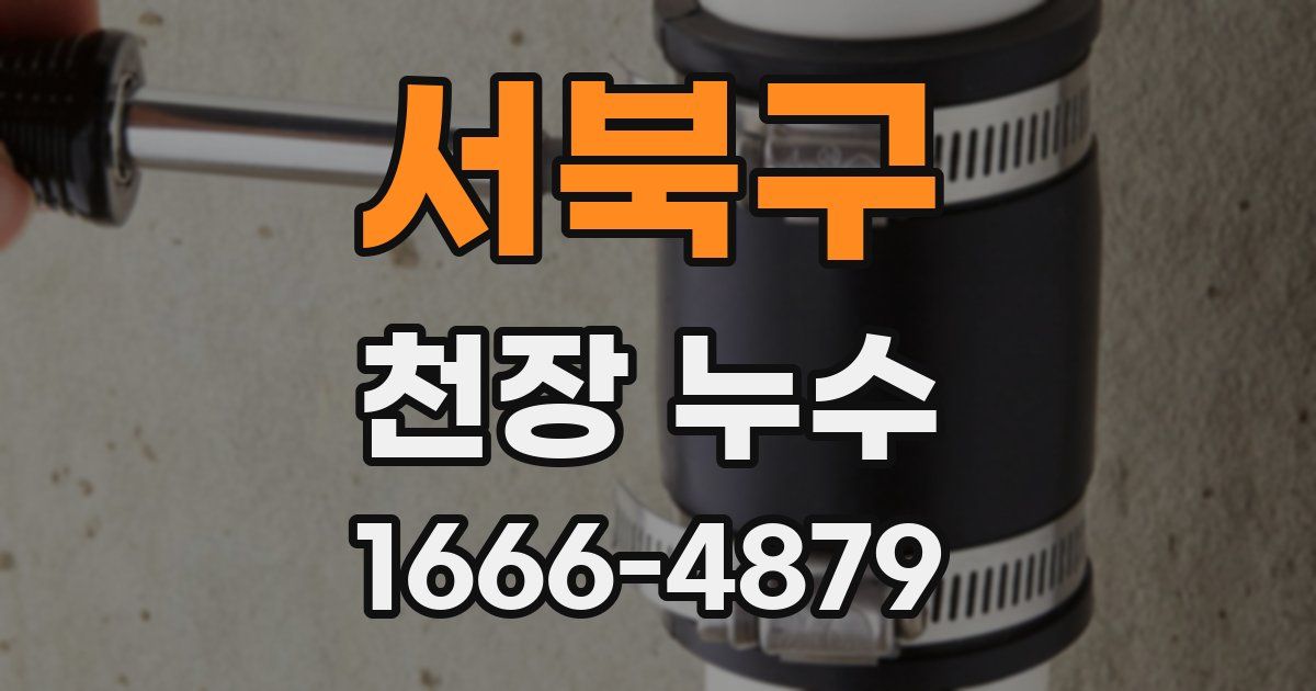 서북구 천장 누수