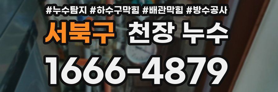 서북구 천장 누수