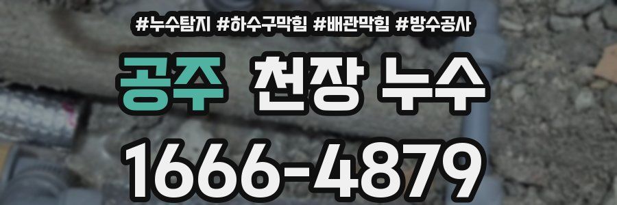 공주 천장 누수
