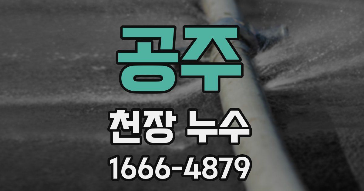 공주 천장 누수