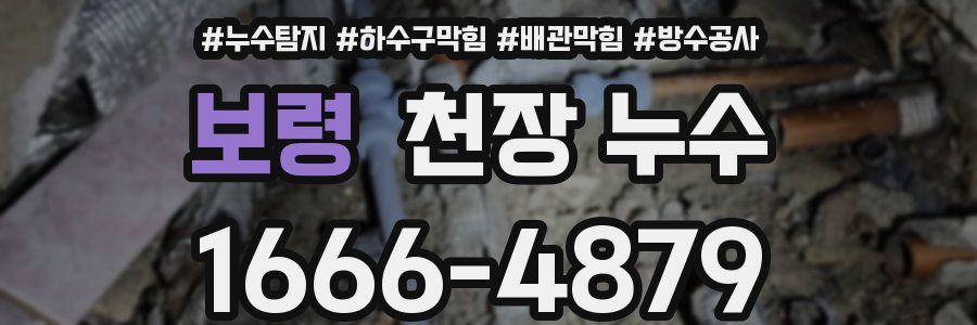보령 천장 누수