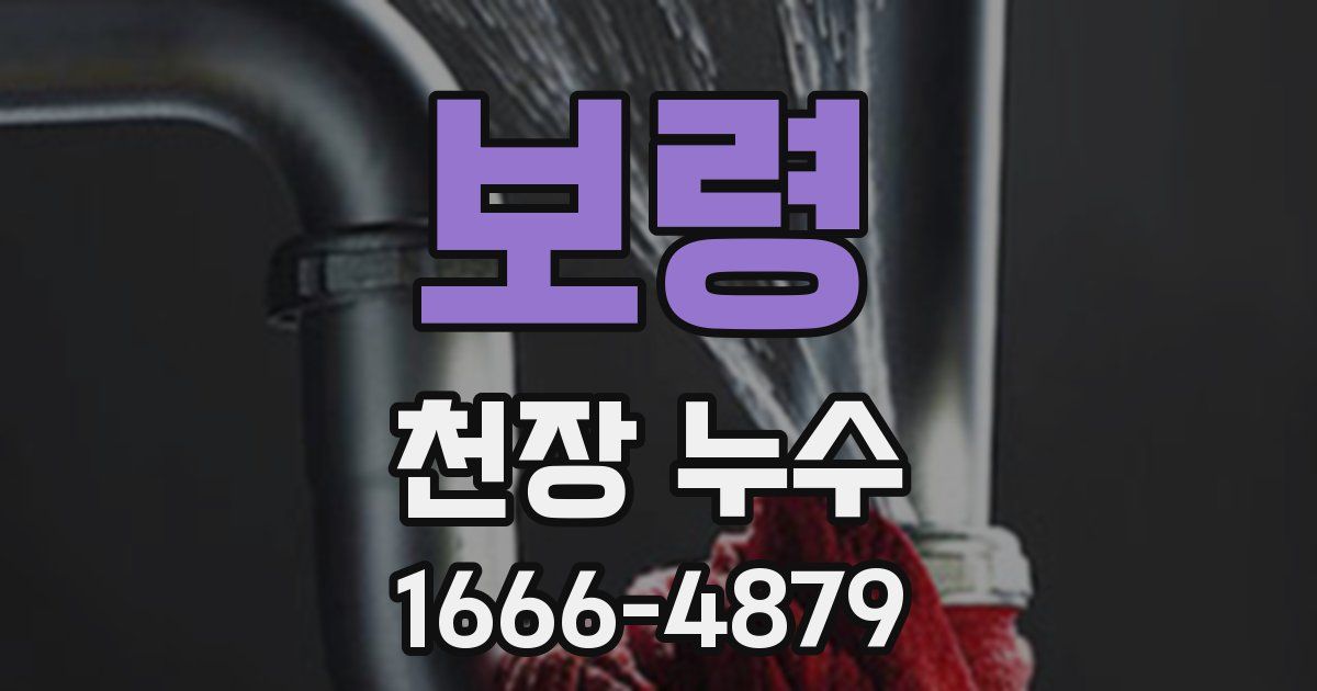 보령 천장 누수