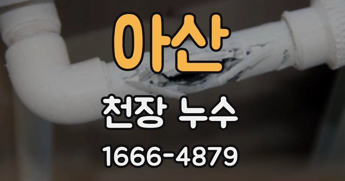 아산 천장 누수