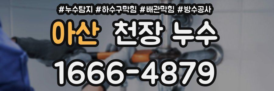 아산 천장 누수