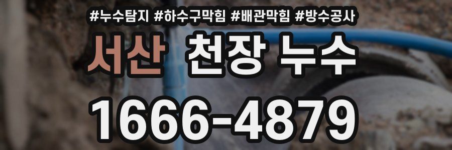서산 천장 누수