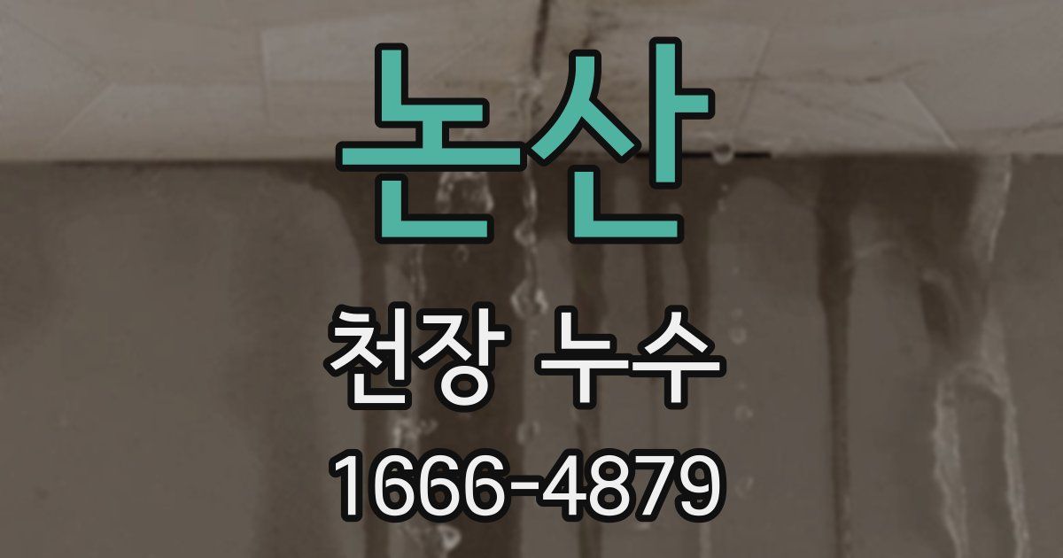 논산 천장 누수