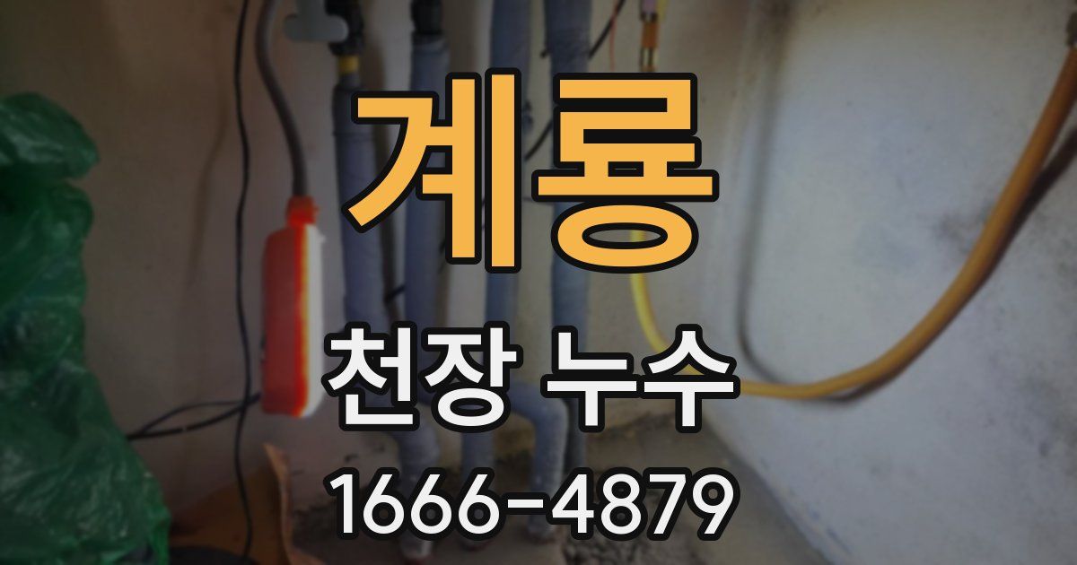 계룡 천장 누수