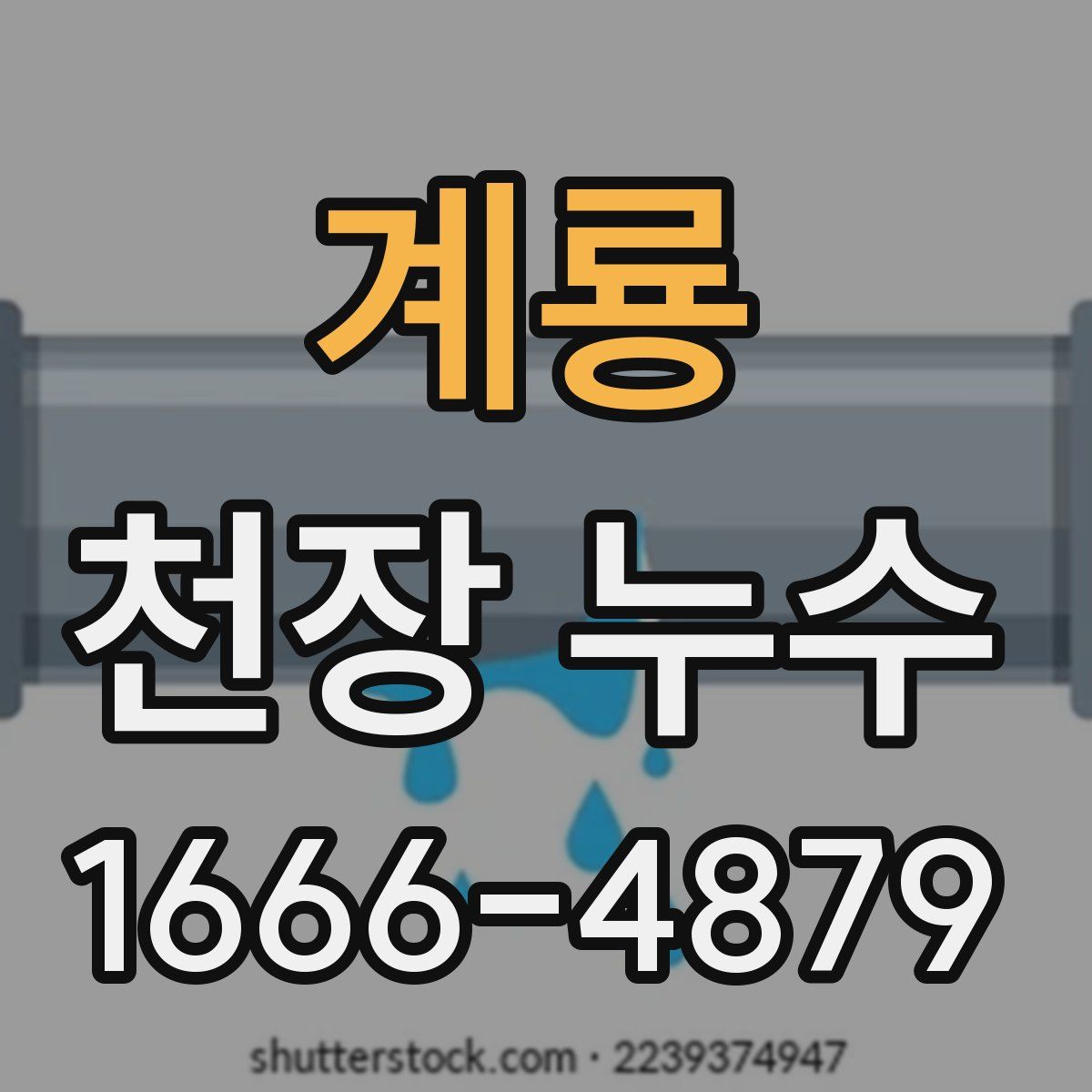 계룡 천장 누수