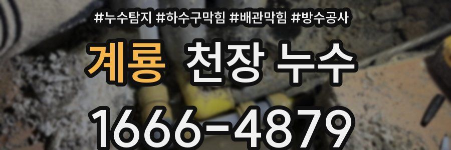 계룡 천장 누수