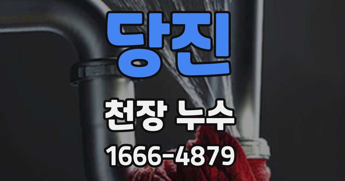 당진 천장 누수