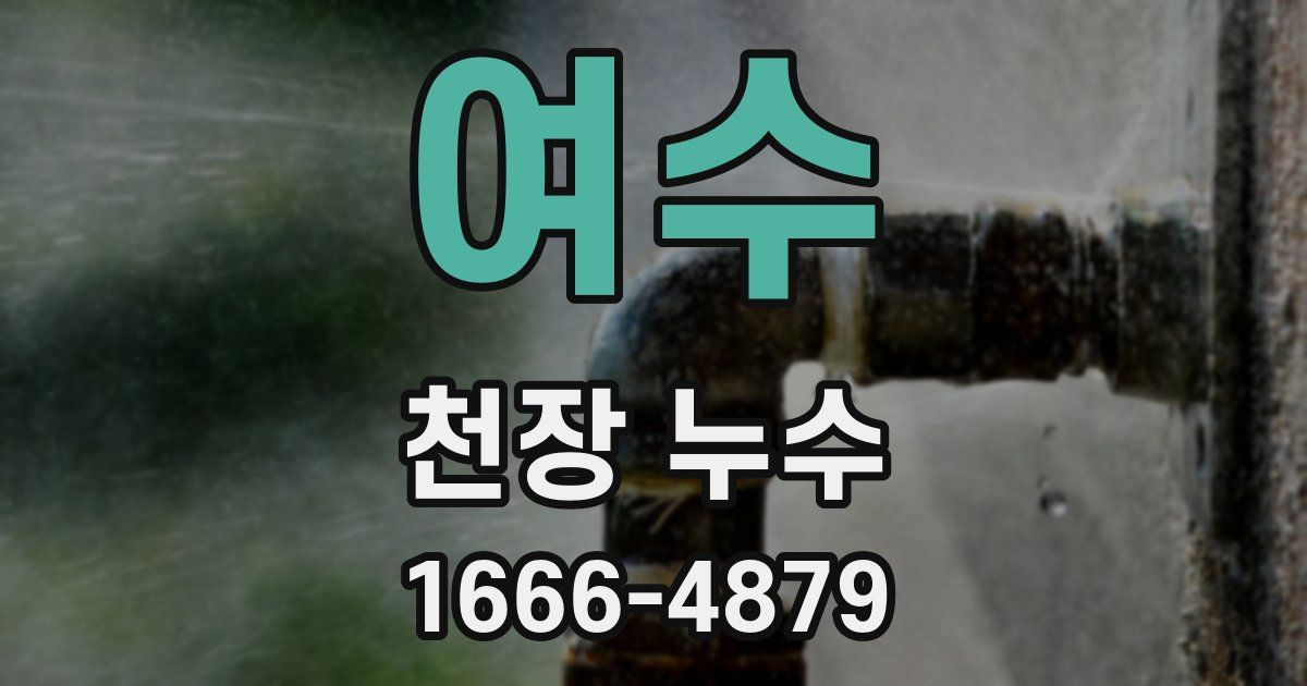 여수 천장 누수