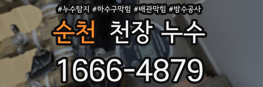 순천 천장 누수