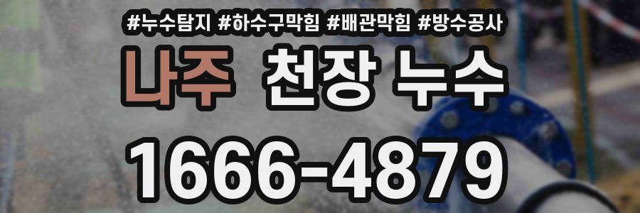 나주 천장 누수