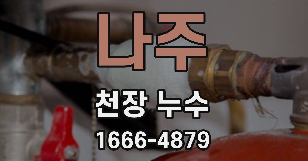나주 천장 누수
