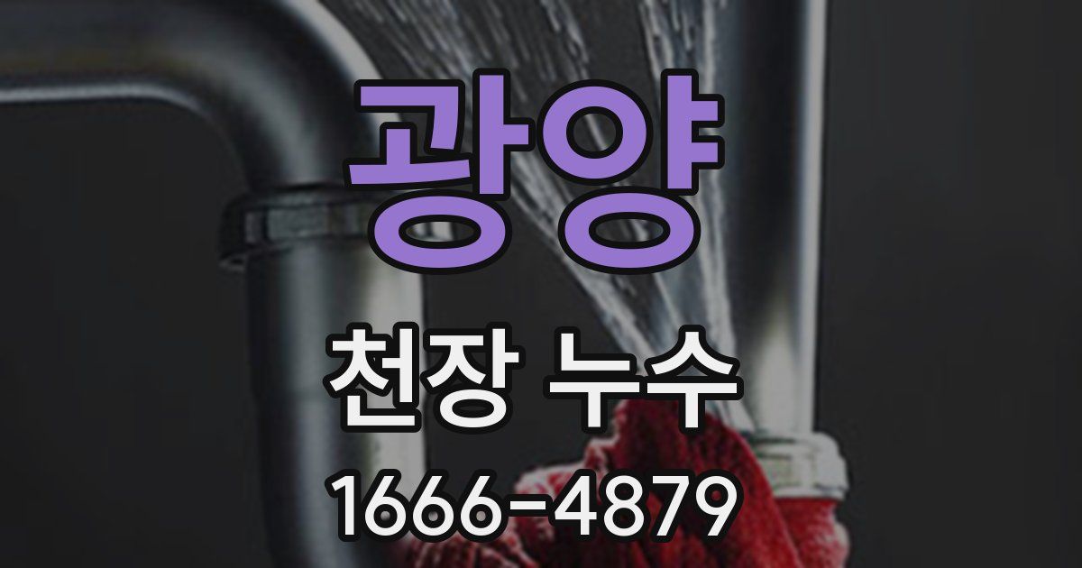 광양 천장 누수