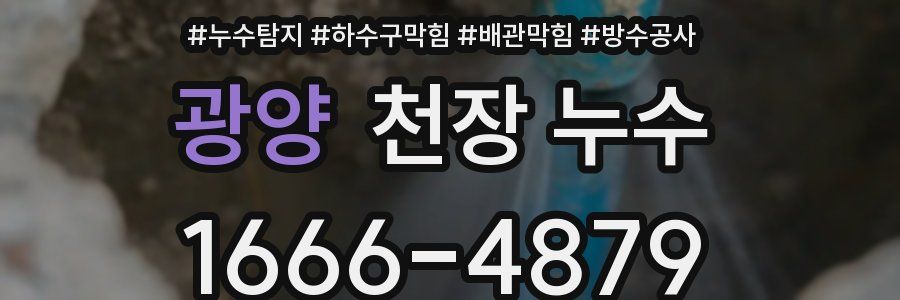 광양 천장 누수