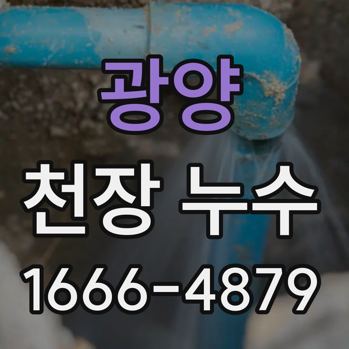 광양 천장 누수