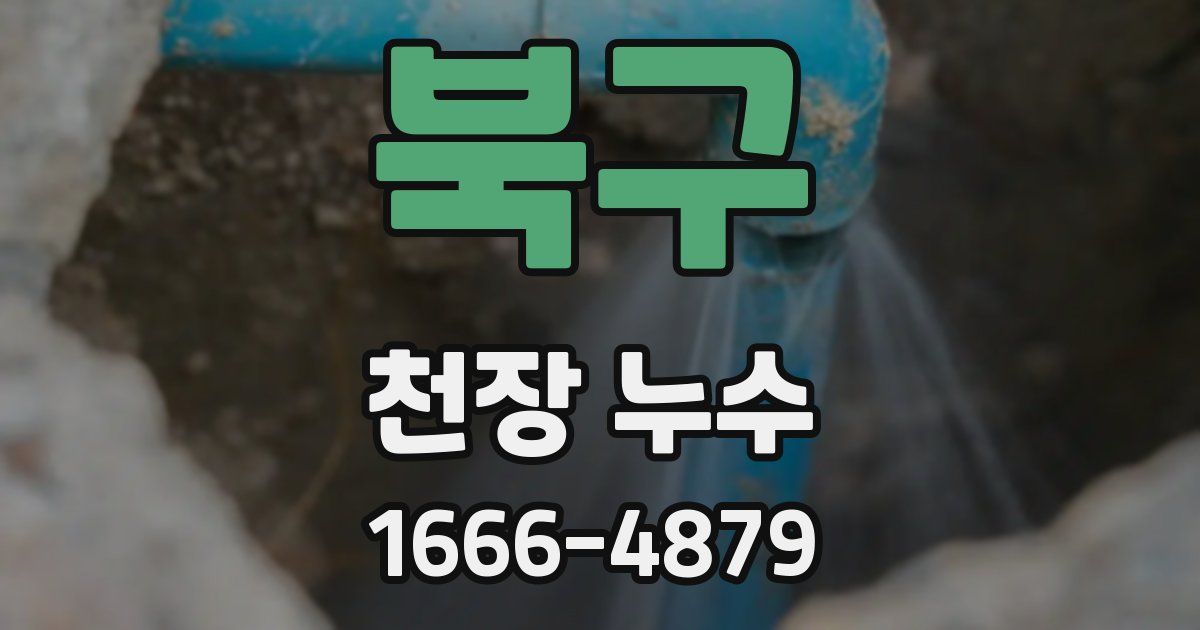 북구 천장 누수